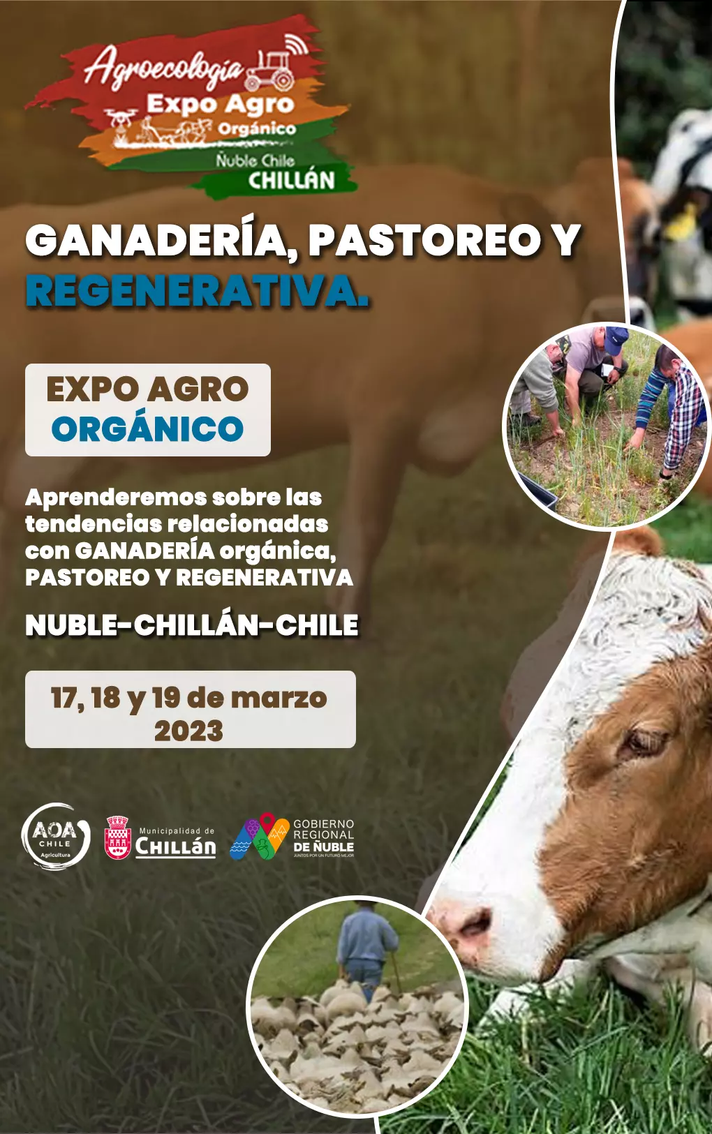 Flyer sobre ganaderia